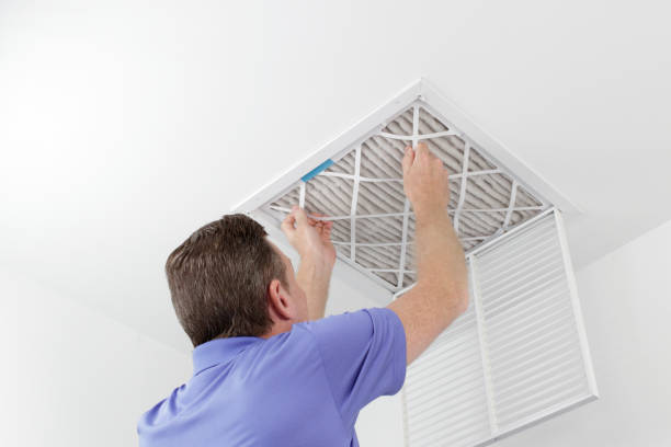 Best Dryer Vent Cleaning in Quincy, FL